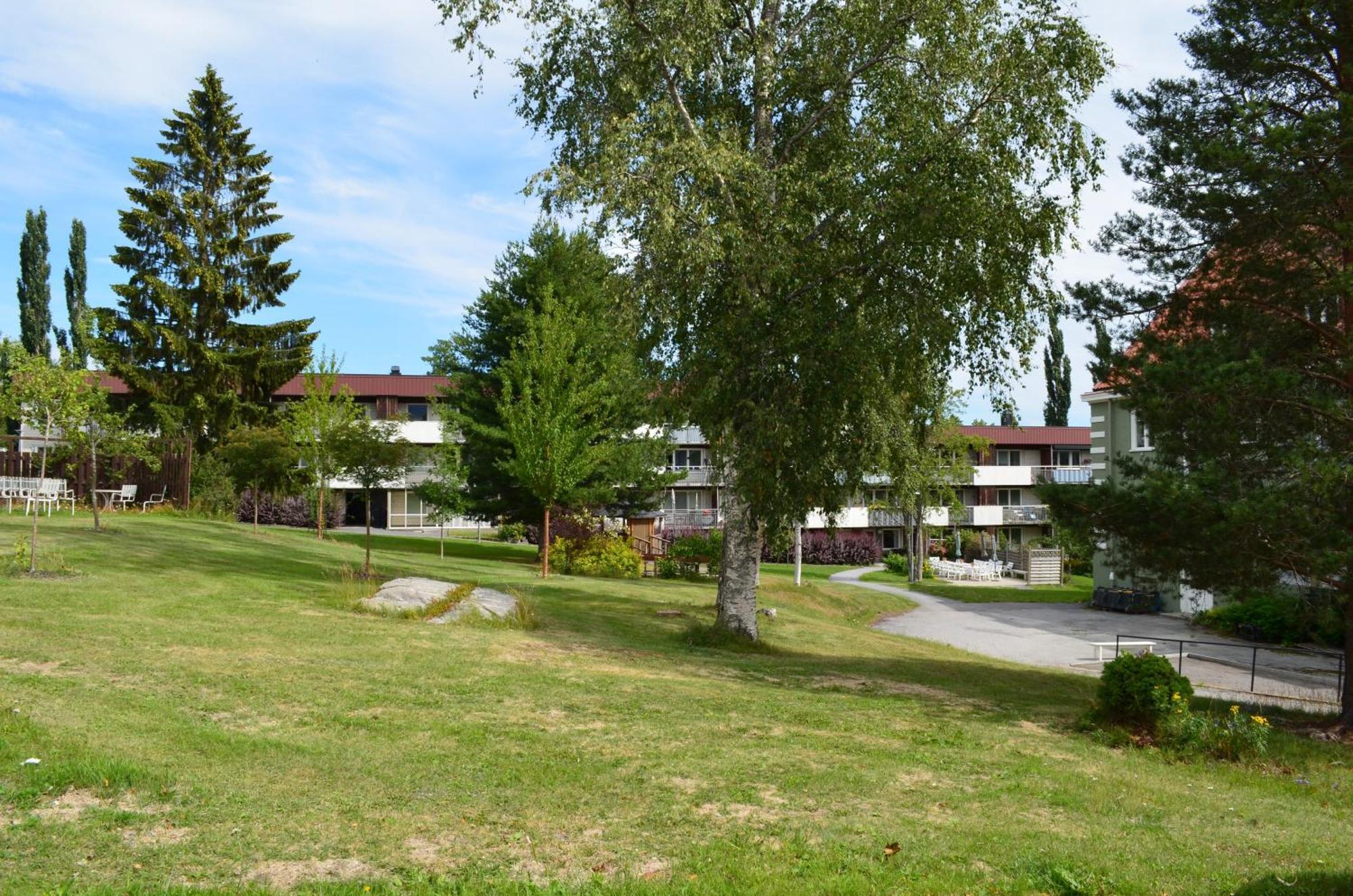 Soergardens Logi Bed & Breakfast Härnösand Dış mekan fotoğraf