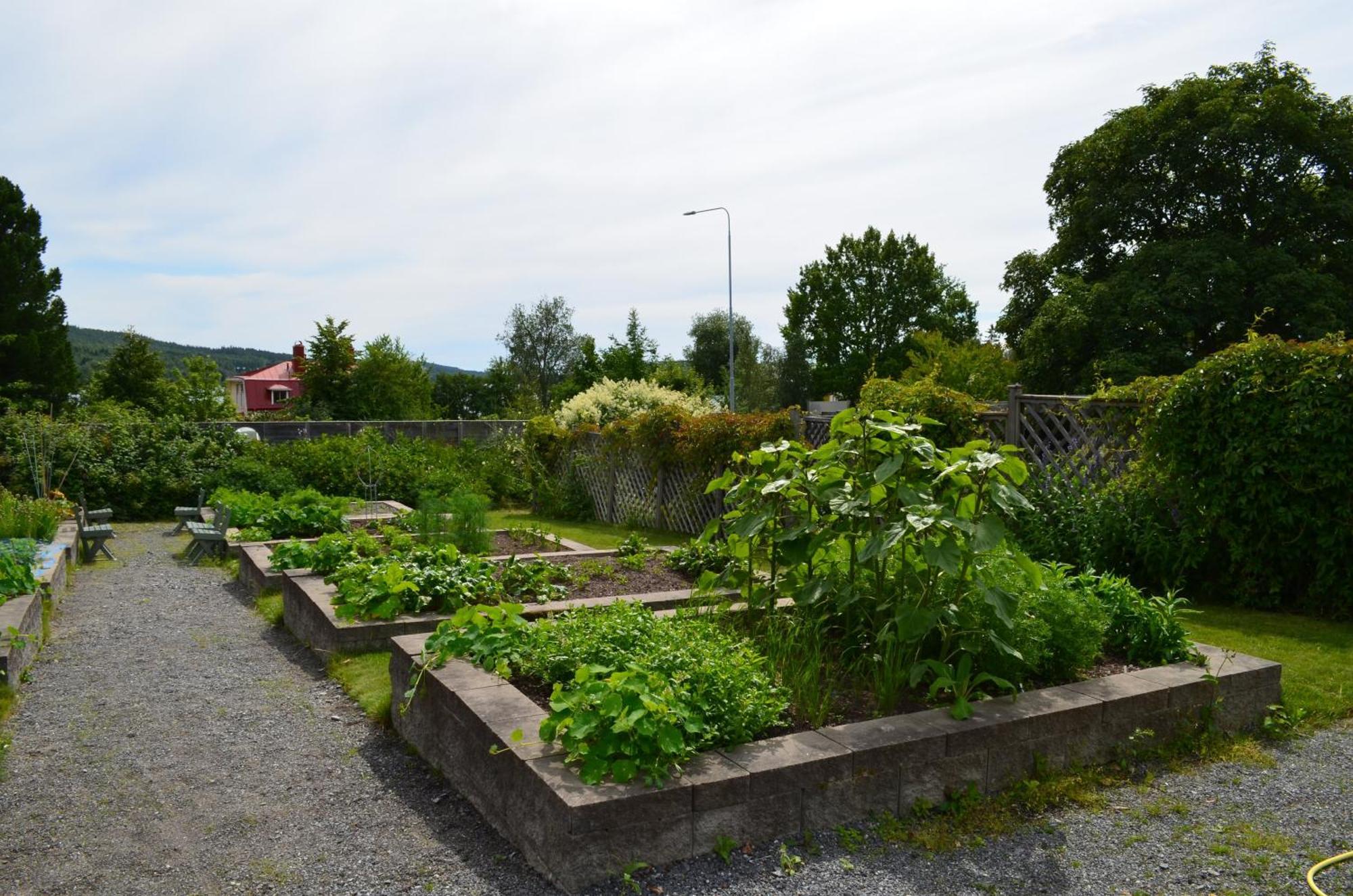 Soergardens Logi Bed & Breakfast Härnösand Dış mekan fotoğraf