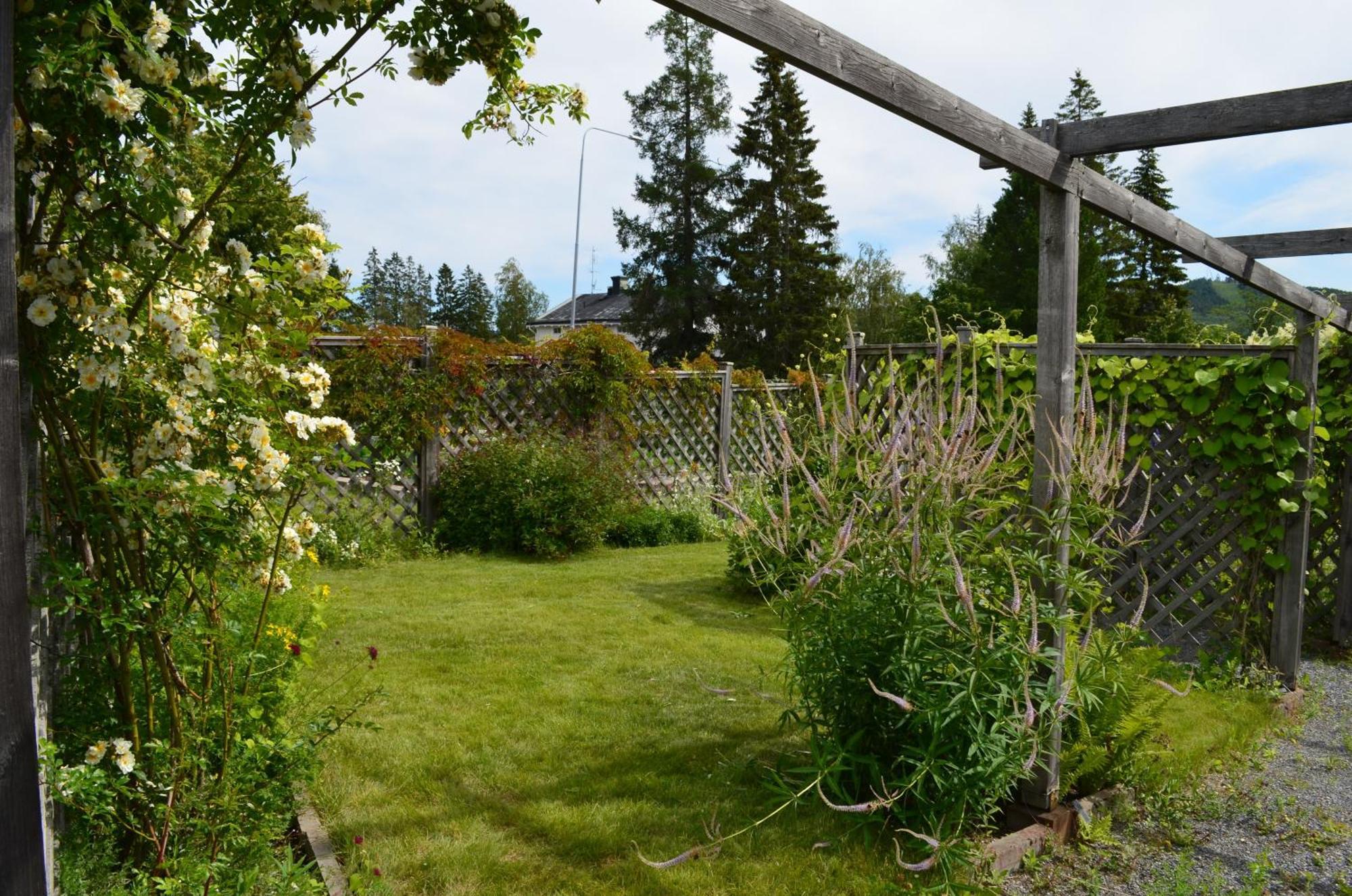 Soergardens Logi Bed & Breakfast Härnösand Dış mekan fotoğraf